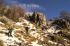 ,    
""<br>
   - ,    
""<br>
  